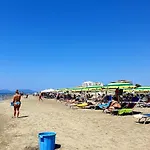 Green Relax